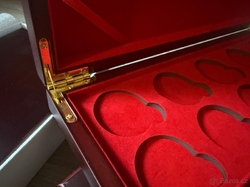 Univerzální etue pro zlaté mince 10x 1oz 39mm